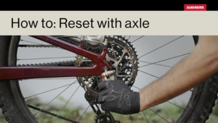 Related Image